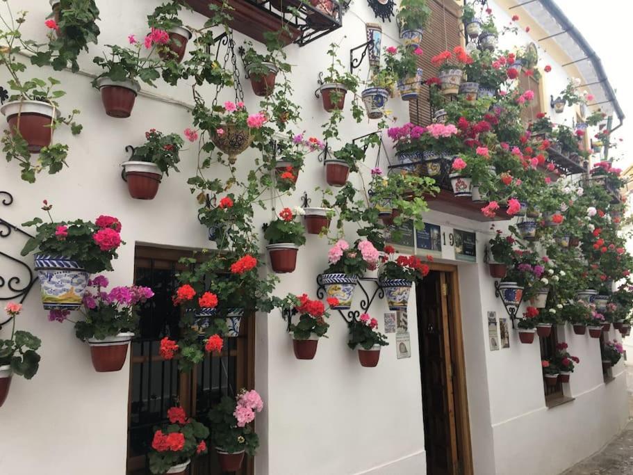 Apartamento Zoco Cordova Esterno foto